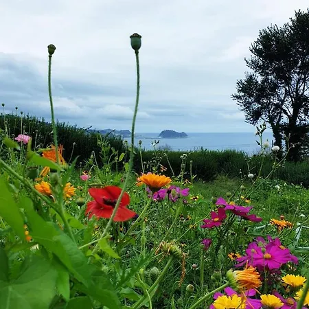 Boutique Berazadi Berri * Zarautz